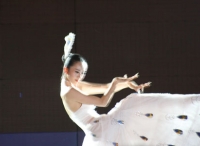 著名白族舞蹈家--杨丽萍